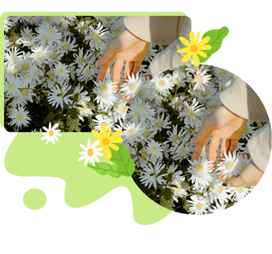 清明节 | 缅怀先烈